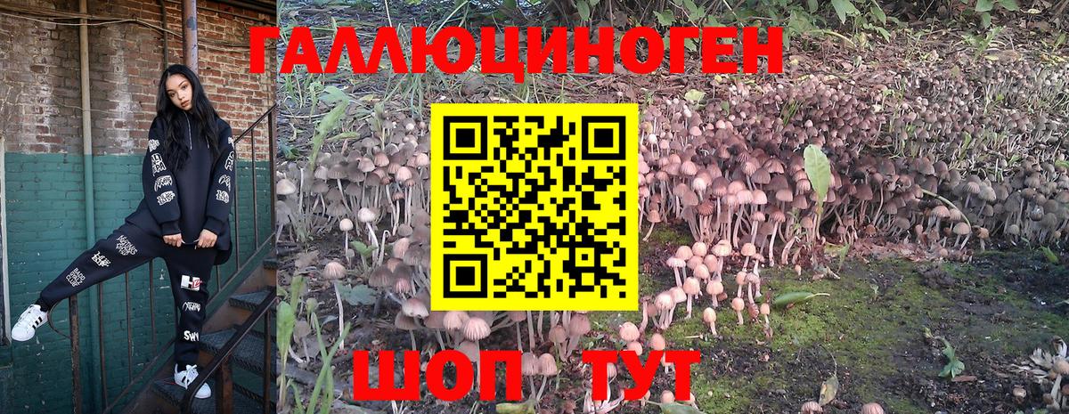 Псилоцибиновые грибы мицелий  Галлюциногенные грибы Psilocybine cubensis  Сарапул  Вход с VPN 