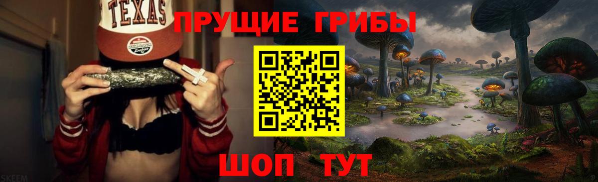Псилоцибиновые грибы Cubensis Сарапул